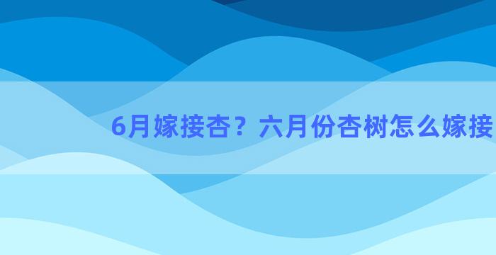 6月嫁接杏？六月份杏树怎么嫁接