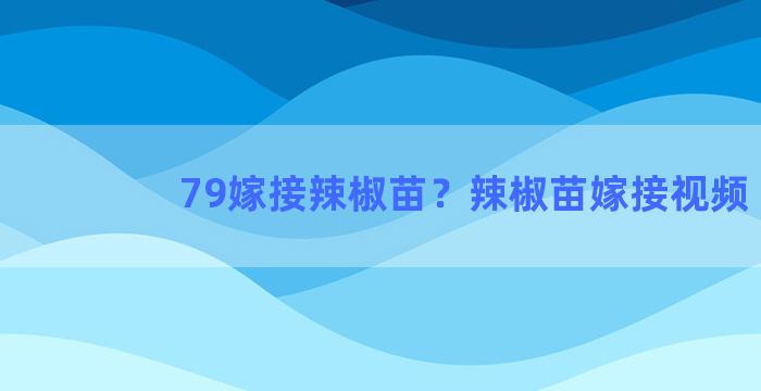 79嫁接辣椒苗？辣椒苗嫁接视频