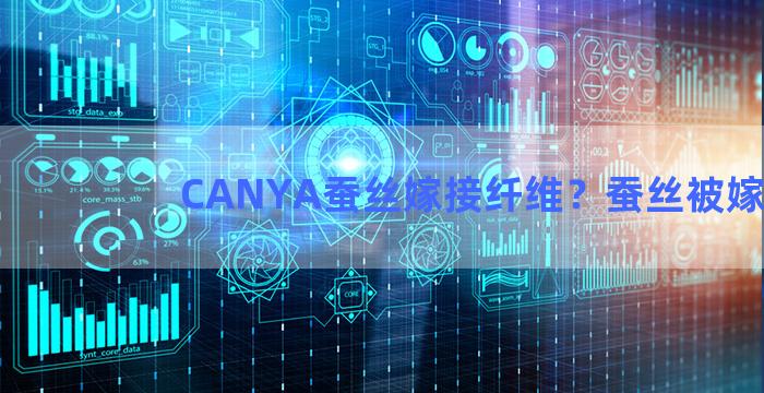 CANYA蚕丝嫁接纤维？蚕丝被嫁妆