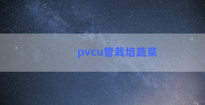 pvcu管栽培蔬菜