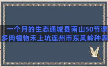 一个月的生态通城县南山50节课多肉植物禾上坑连州市东风岭种养合作社(通城未来一个月天气)