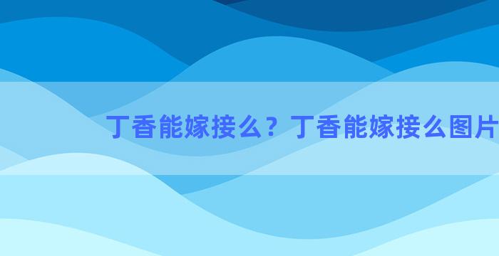 丁香能嫁接么？丁香能嫁接么图片