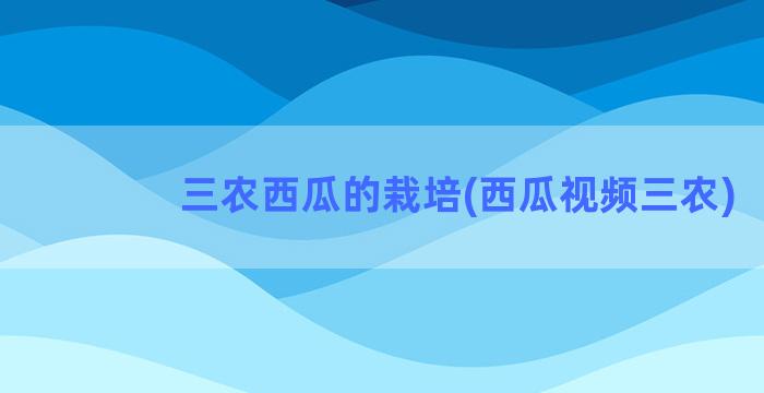 三农西瓜的栽培(西瓜视频三农)