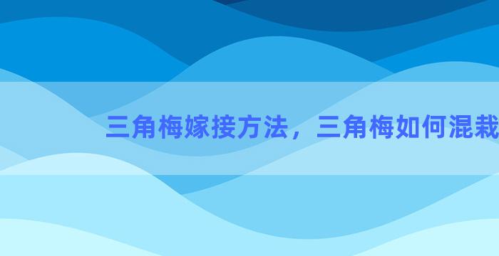 三角梅嫁接方法，三角梅如何混栽