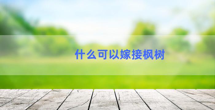 什么可以嫁接枫树