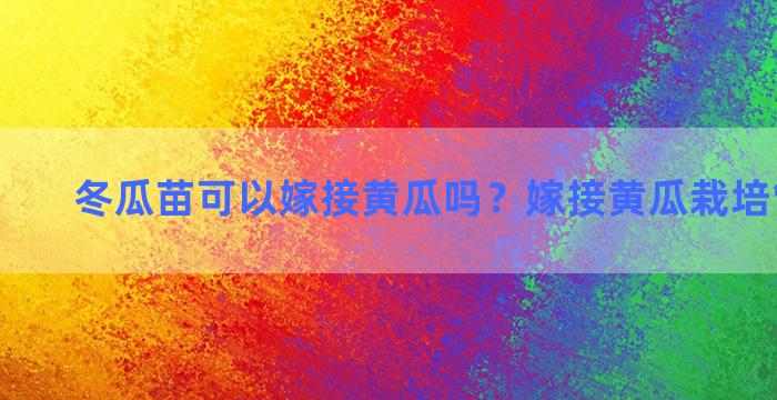 冬瓜苗可以嫁接黄瓜吗？嫁接黄瓜栽培管理技术