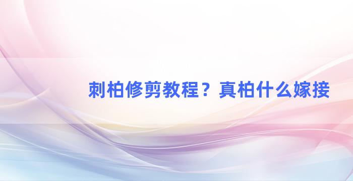 刺柏修剪教程？真柏什么嫁接