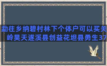 勐往乡纳碧村林下个体户可以买关岭昊天遂溪县创益花坦县勇生371种养致富网的王栋