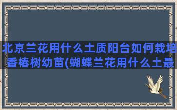 北京兰花用什么土质阳台如何栽培香椿树幼苗(蝴蝶兰花用什么土最合适)