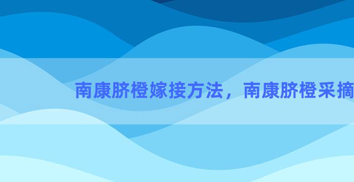 南康脐橙嫁接方法，南康脐橙采摘