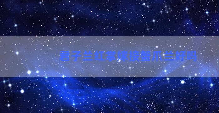 君子兰红掌嫁接蟹爪兰好吗