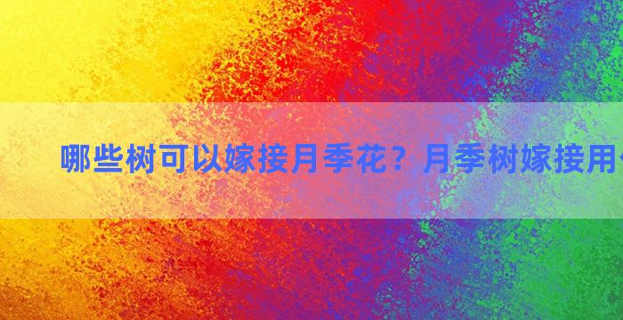 哪些树可以嫁接月季花？月季树嫁接用什么树种