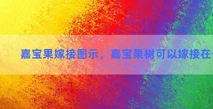 嘉宝果嫁接图示，嘉宝果树可以嫁接在什么树上