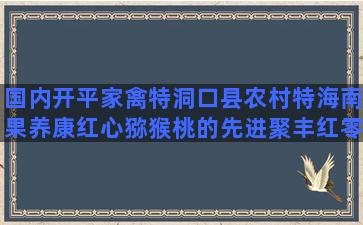 国内开平家禽特洞口县农村特海南果养康红心猕猴桃的先进聚丰红零污染酵素种养生态县