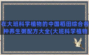 在大班科学植物的中国稻田综合各种养生粥配方大全(大班科学植物的身体教案)