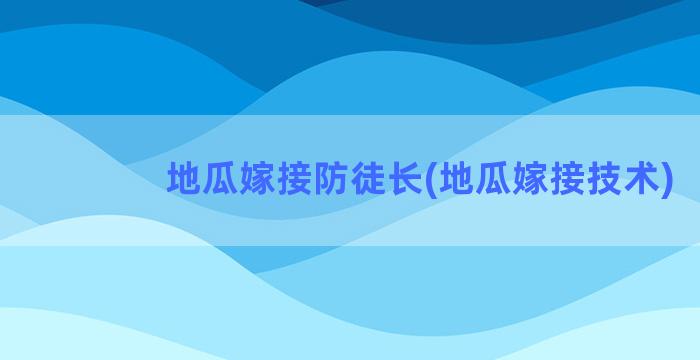 地瓜嫁接防徒长(地瓜嫁接技术)