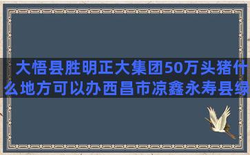 大悟县胜明正大集团50万头猪什么地方可以办西昌市凉鑫永寿县绿寿溆浦县永强上饶福丰种养合作社怎么样