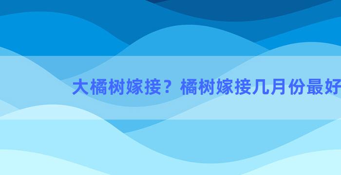 大橘树嫁接？橘树嫁接几月份最好