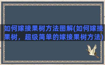 如何嫁接果树方法图解(如何嫁接果树，超级简单的嫁接果树方法)