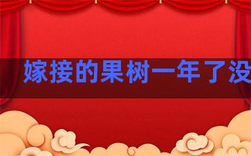 嫁接的果树一年了没长大