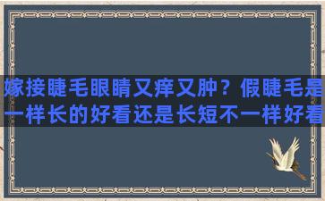 嫁接睫毛眼睛又痒又肿？假睫毛是一样长的好看还是长短不一样好看