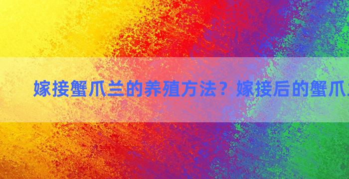 嫁接蟹爪兰的养殖方法？嫁接后的蟹爪兰怎么养