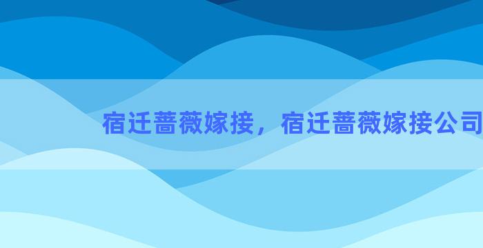 宿迁蔷薇嫁接，宿迁蔷薇嫁接公司