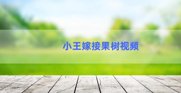 小王嫁接果树视频