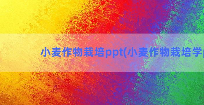 小麦作物栽培ppt(小麦作物栽培学ppt)