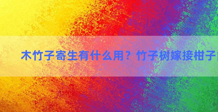 木竹子寄生有什么用？竹子树嫁接柑子能成活吗