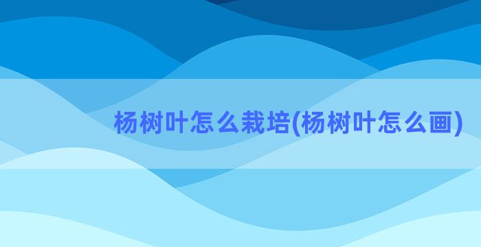 杨树叶怎么栽培(杨树叶怎么画)