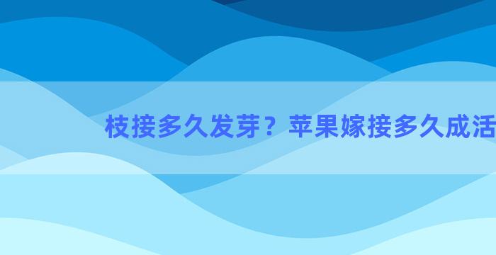 枝接多久发芽？苹果嫁接多久成活