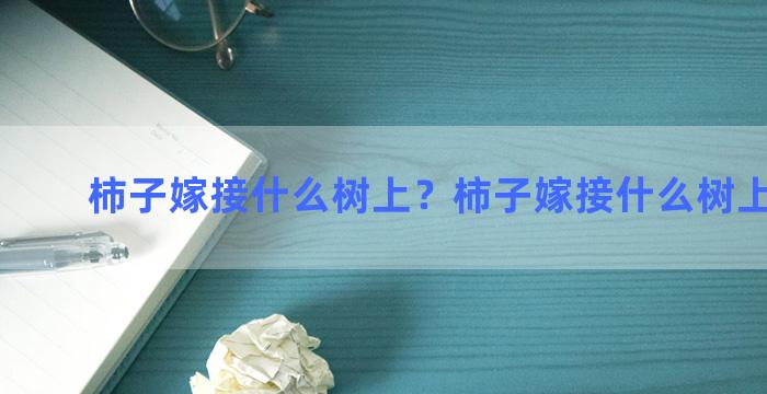 柿子嫁接什么树上？柿子嫁接什么树上比较好