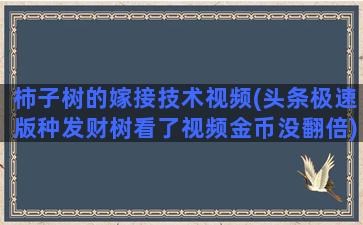 柿子树的嫁接技术视频(头条极速版种发财树看了视频金币没翻倍)