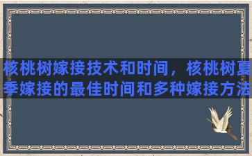 核桃树嫁接技术和时间，核桃树夏季嫁接的最佳时间和多种嫁接方法