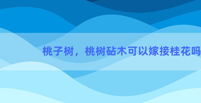 桃子树，桃树砧木可以嫁接桂花吗