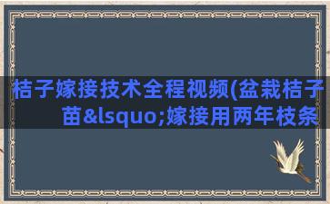 桔子嫁接技术全程视频(盆栽桔子苗‘嫁接用两年枝条能成活吗)