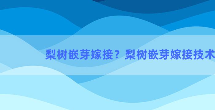 梨树嵌芽嫁接？梨树嵌芽嫁接技术