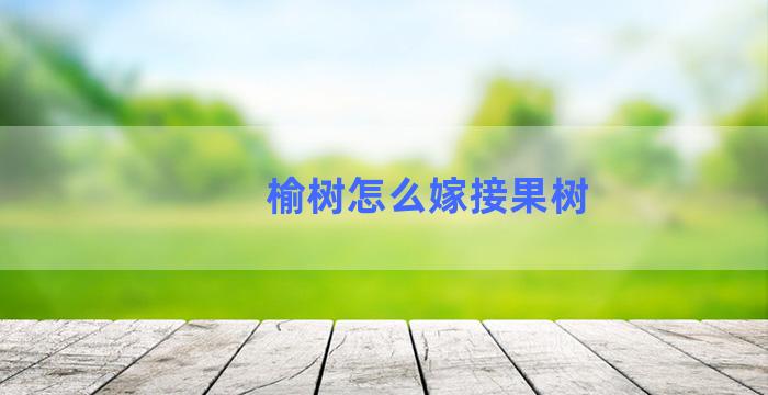 榆树怎么嫁接果树