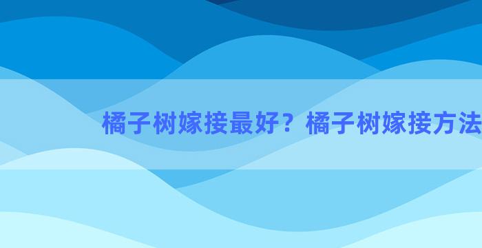 橘子树嫁接最好？橘子树嫁接方法