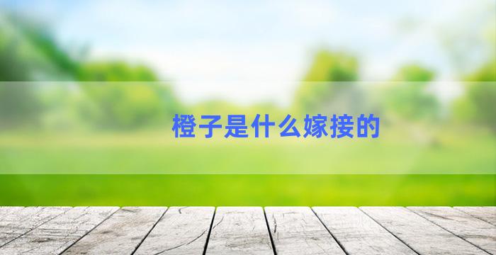 橙子是什么嫁接的