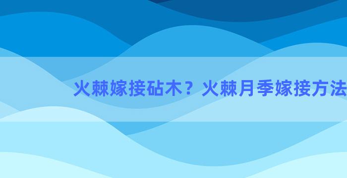 火棘嫁接砧木？火棘月季嫁接方法