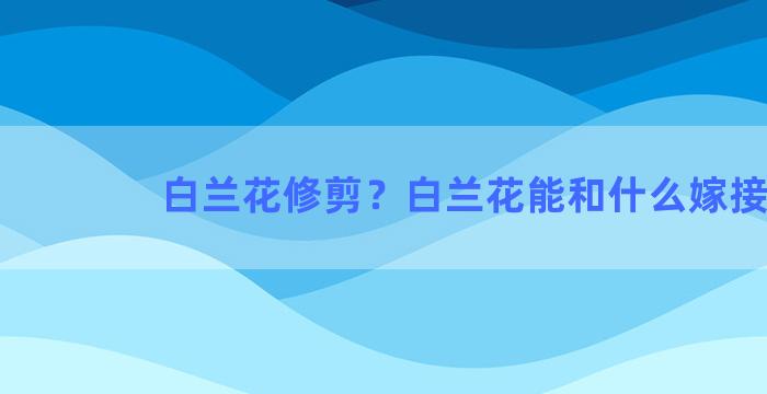 白兰花修剪？白兰花能和什么嫁接