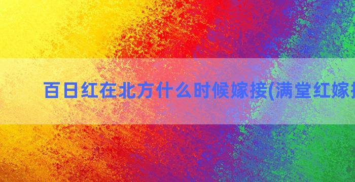 百日红在北方什么时候嫁接(满堂红嫁接方法)