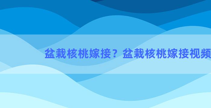 盆栽核桃嫁接？盆栽核桃嫁接视频