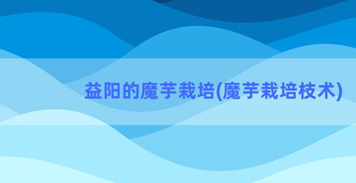 益阳的魔芋栽培(魔芋栽培枝术)