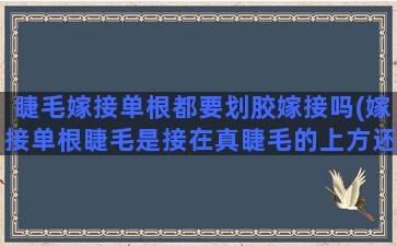 睫毛嫁接单根都要划胶嫁接吗(嫁接单根睫毛是接在真睫毛的上方还是下方)