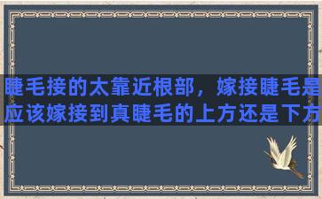 睫毛接的太靠近根部，嫁接睫毛是应该嫁接到真睫毛的上方还是下方。还是外侧