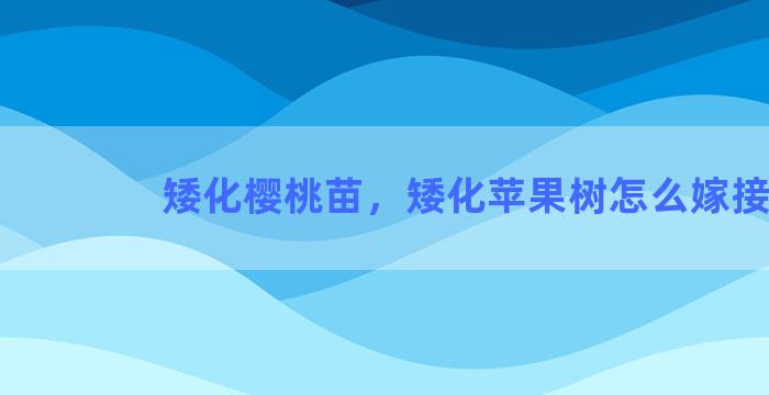 矮化樱桃苗，矮化苹果树怎么嫁接