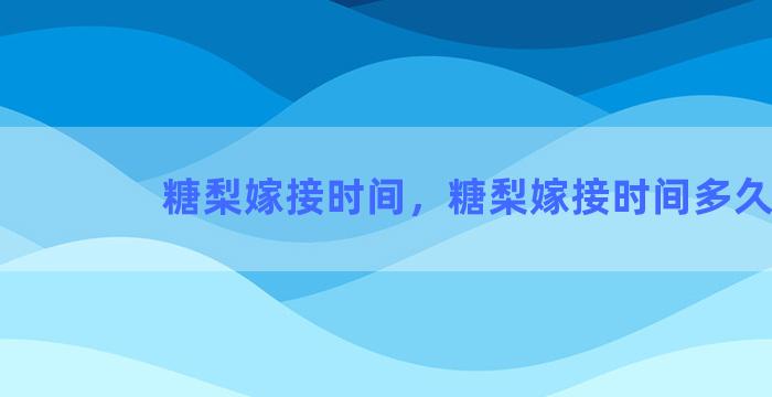 糖梨嫁接时间，糖梨嫁接时间多久